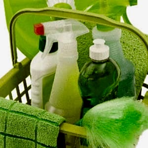 Eco Cleaning Service