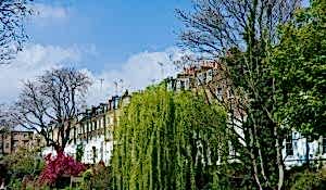 cleaners islington