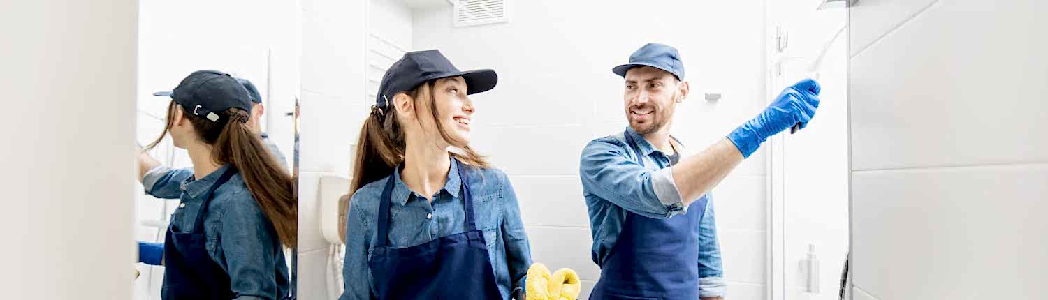 professional cleaning services