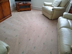 lviing room carpet cleaning