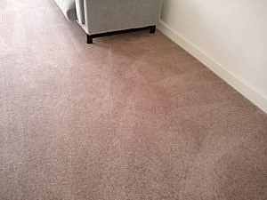 home carpet clean