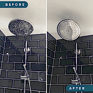 limescale removal from shower head one off clean