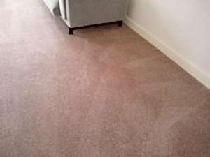 office carpet cleaning image